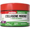Pro Nutrition Integratore di Collagene Marino con Biotina, Zinco, Antiossidanti e Acido Ialuronico per il Benessere di Pelle Capelli e Unghie Gusto: Mirtillo