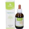 ARCANGEA Srl Arcangea Ursinuva Macerati 50 ml - Integratore Alimentare