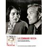 Dvd LA COMMARE SECCA di Bernardo Bertolucci Pier Paolo Pasolini nuovo digipack