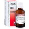 I.M.O.IST.MED.OMEOPATICA SpA RECKEWEG R11 GOCCE 22 ML