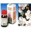 SPECCHIASOL Srl BIANCOSPINO 10 50ML TM