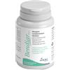 AURORA BIOFARMA Srl BENDIAR MAXI 20 COMPRESSE
