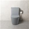 Parama Vaso filomuro monoblocco rimless con cassetta e sedile copri-wc grigio opaco | Vienna