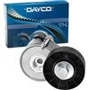 DAYCO APV1150 Fiat Ducato Jtd 3.0