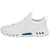 ECCO Scarpa GOLF BIOM C4