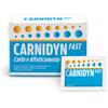 ALFASIGMA SPA Integratore Tonificante Carnidyn Fast 20 Bustine