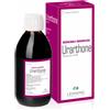 LEHNING LABORATOIRES Lehning Urarthone Sciroppo 250 Ml