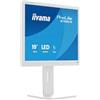 iiyama Monitor desktop, B1980S-W1-19, TN, 1280x1024/75Hz, 1H1DP, HAS