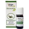 Gisa Wellness - EUCALIPTO - Olio Essenziale Bio - 100% Puro e Naturale - [10ml] - Alimentare - Aromaterapia - Cura della Persona - Benessere - Made in Italy