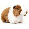 RLOMUTE Peluche cavia Giallo da 7 pollici morbido e carino adatto per San Valentino regali per feste compagni camera da letto per auto decorazione per la casa regalo per bambini