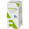 Enteroxil 500ml