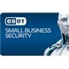 Pc Reset SMALL BUSINESS SECURITY 5 SERVER + 5 DISPOSITIVI 12 MESI