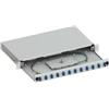 Techly Cassetto ottico Techly SBP-12LCOS2G 19'' con 12 prese e 24 Pigtails LC Duplex monomodale OS2 Grigio