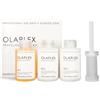 Olaplex Professional Traveling Stylist Kit