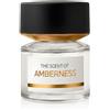BMW Fragrances Amberness Eau de Parfum (unisex) 100 ml