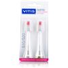 Vitis Dentaid Vitis Sonic Gingival S10 E S20 Ricambio 2 Testine