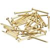 QUARKZMAN 35Pz Chiodi in Ottone 1.5x20mm(DxL) Chiodi per Quadri Muro Testa Rotonda Piccoli in Ottone Hardware per Progetti Fai da Te in Legno Scatole Decorative Casa, Tonalità Ottone