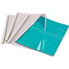 Fellowes Leonardi 53152 Termocopertine Standard, Formato 3 mm, Confezione da 100 Pezzi, Bianco
