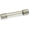 HorecaForniture Fusibile Ritardato Ø 6,3X32 Mm - 10 Pz 3049066