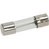 HorecaForniture Fusibile Ritardato Ø 5X20 Mm - 10 Pz 3049021