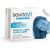 NUTRITION & SANTE' ITALIA SpA LIEVITOVIT PROGRAMMA CAPELLI 60 COMPRESSE