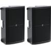 Mackie Thump215 Coppia Cassa Attiva Diffusore audio 15" e 1400w di picco, Nero