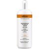 VEBI PHARMA Srl VEBIX PHYTAMIN ACTIVE BAGNODOCCIA OLIO ARGAN 1000 ML