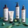 SBC Vanilla Bean & Fig Routine corpo e mani 4 prodotti