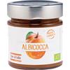 BIOTOBIO Srl Composta albicocca 250 g - BIOTOBIO - 934364225