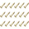 QUARKZMAN 1.2x6mm Piccoli Chiodi x 200pz da Mano Hardware Fissaggi Mini Chiodi Fai-da-Te Decorativi Legno Scatole Nere