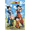 SD TOYS - Poster 3D Battle of Gods Goku Vegeta Family Dragon Ball Super - Misure 38 x 58 cm