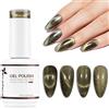 Nicedeco 15ML Smalto Cat Eye Semipermanente per Unghie Colori Smalto magneticp per Unghie Lampada UV LED Soak Off Gel Nail Polish N311