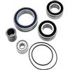 BLACKBEARING Ricambi Motore E-Bike - Panasonic Service Kit 36V - Ricambio mov centrale