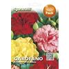 Generico Semi di Garofano Rifiorente di Nizza, Miscuglio di Colori, Diamanthus Caryophyllus, Fiori per Vaso, Fioriere, Giardino, Aiuole, Bordature, Nice Clove Seeds