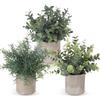 ilauke Set di 3 Piante Artificiali in Vaso,Piante di Rosmarino in Plastica di Eucalipto,Mini Piante Artificiali Piante Finte da Interno Esterno per Casa, Giardino, Ufficio, Scrivania, Doccia