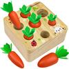 VingaHouse Giocattoli in Legno a Partire da 1 Anno, Giocattoli Montessori 2 3 Anni