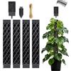 XJJAUGKLY Asta di muschio per Monstera, 4 pezzi Monstera, asta di muschio auto-irrigazione, per piante da interni, 103 cm, per piante rampicanti ed ederi