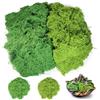 GJS Muschio stabilizzato - vero muschio decorativo naturale vivo conservato (finto lichene slandese) - colorato in modo diverso - per decorazioni, modellismo, terrario, parete (1kg, verde scuro