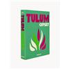 Assouline Libro illustrato Tulum Gypset - Verde