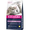 EUKANUBA Kitten Chicken 2 kg
