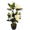Flair Flower Albero, Decorazione Vaso con Muschio, Artificiali, Seta, boccioli di Magnolia, Fiori Decorativi, Bianco, 68 cm