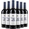 Bosco del Merlo Venezia DOC Merlot Campo Camino Riserva 2020 Box da 6 bottiglie