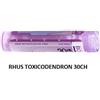 Boiron Rhus Toxicod Boi 30ch 80gr4g