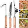 BNGXR Sarchiatrice Manuale, 3 Pezzi Diserbatrice Manuale da Giardino di Acciaio Inossidabile, Manico in Legno, Estrattore di Erbacce per Giardino Scavo
