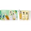 Clinique Mini Kit Aromatic Elixir Essentials