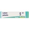 BOIRON Srl Ledum Palustre 5CH Boiron Globuli 1g