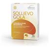 Vebix Nutrients Sollievo Gola - Caramelle dure balsamiche per la gola, 36 caramelle