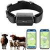 TKMARS Localizzatore GPS 4G (collare) Adatto per Cani/CamMelli Localizzatore GPS Impermeabile IP66 Riproduzione Percorso Storico Tempo realeSenza Abbonamento Grandi Animali (TK935)