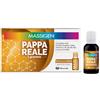 Massigen Pappa Reale 10 flaconcini Da 25ml - MASSIGEN - 943295067