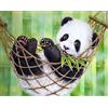 Pracht Creatives Hobby Set di Pittura con Diamanti, Quadro con Motivo Panda e Accessori, Dimensioni Circa 35 x 25 cm, Set da dipingere con Pietre Glitterate per Bambini dai 5 Anni in su
